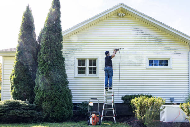 Professional Pressure Washing Services in Beech Mountain Lakes, PA